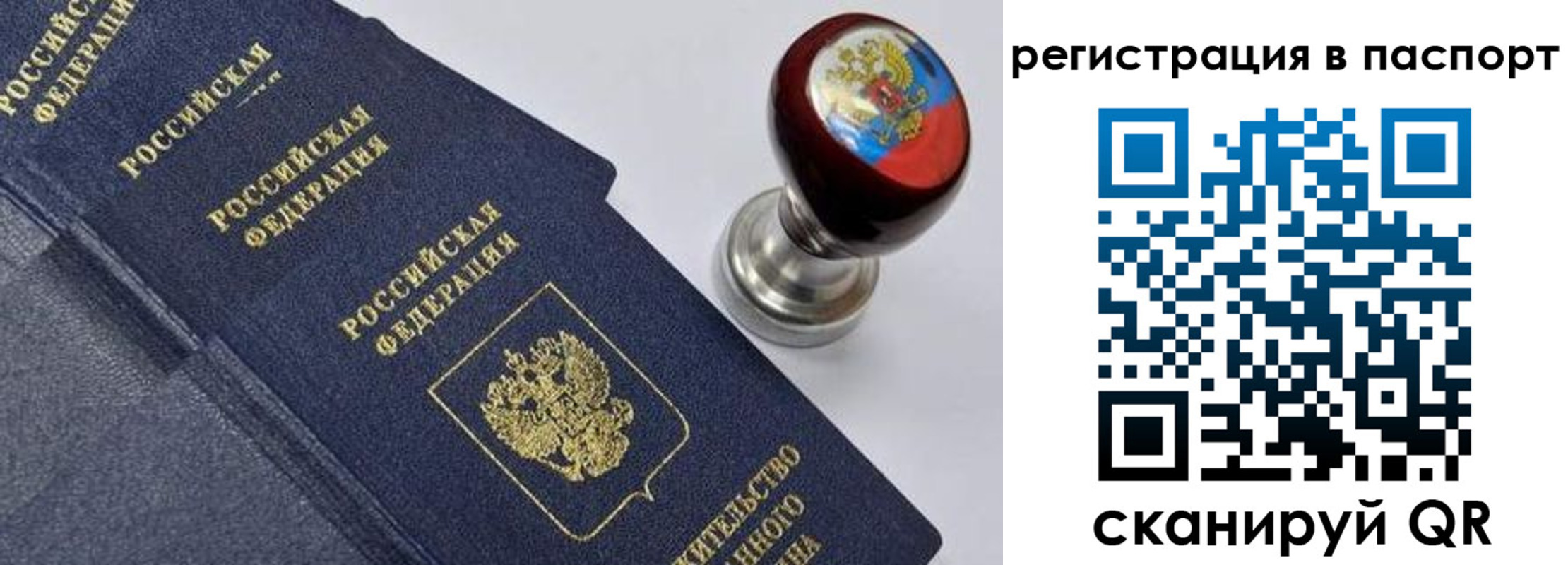 прописка поиск в Кудрово